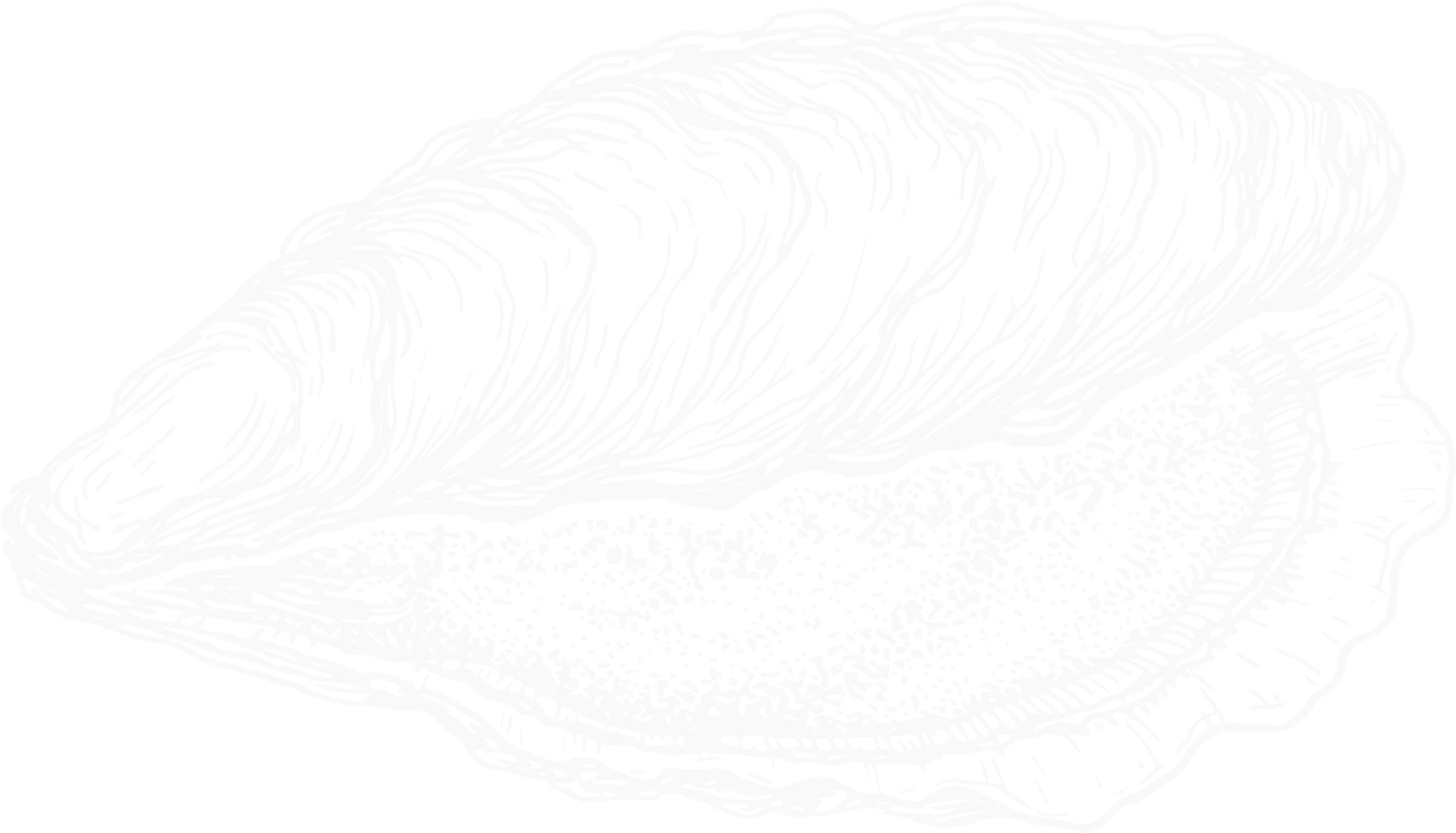 mother of pearl oyster illustration