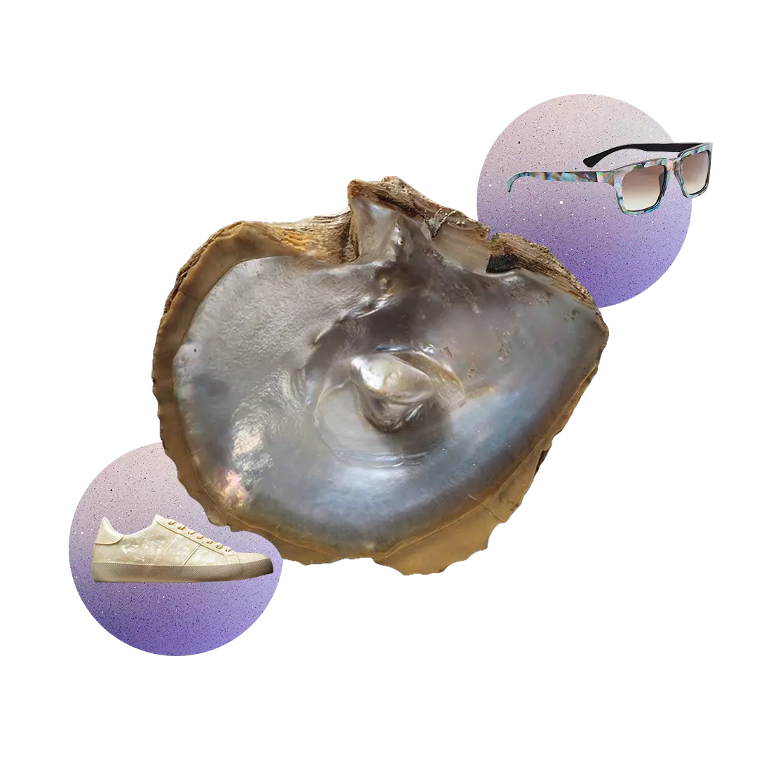 leftovers of the oysters cultivated for the Pearl Industries